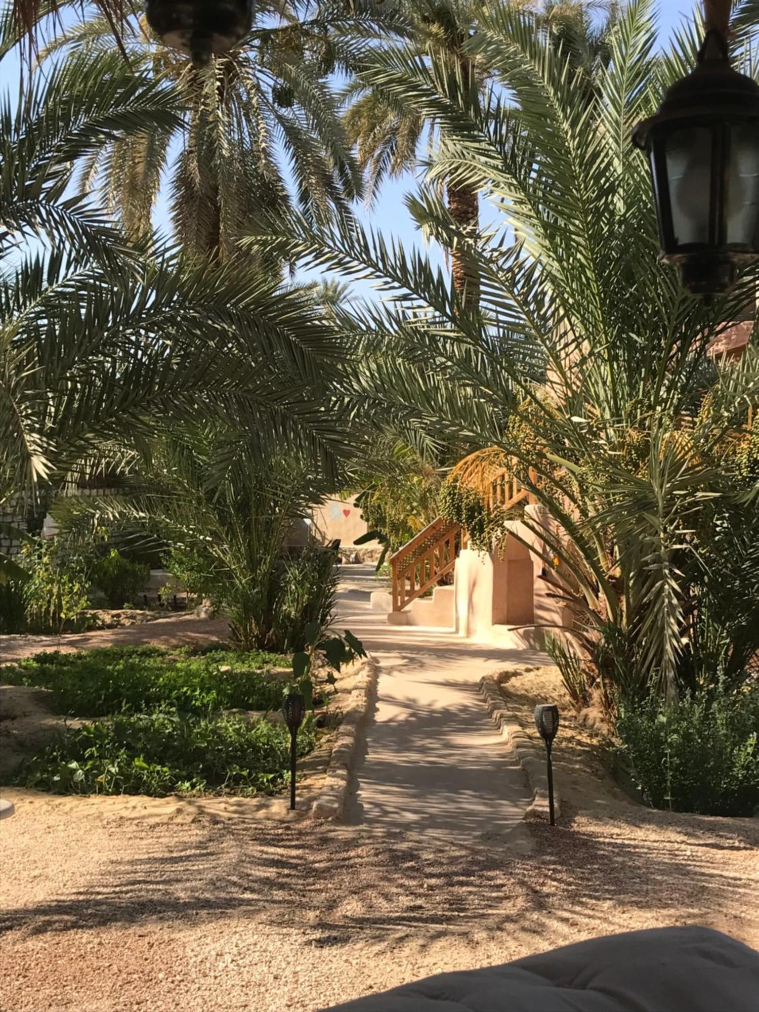 Siwa Spot Apartment Siwa Oasis Bagian luar foto
