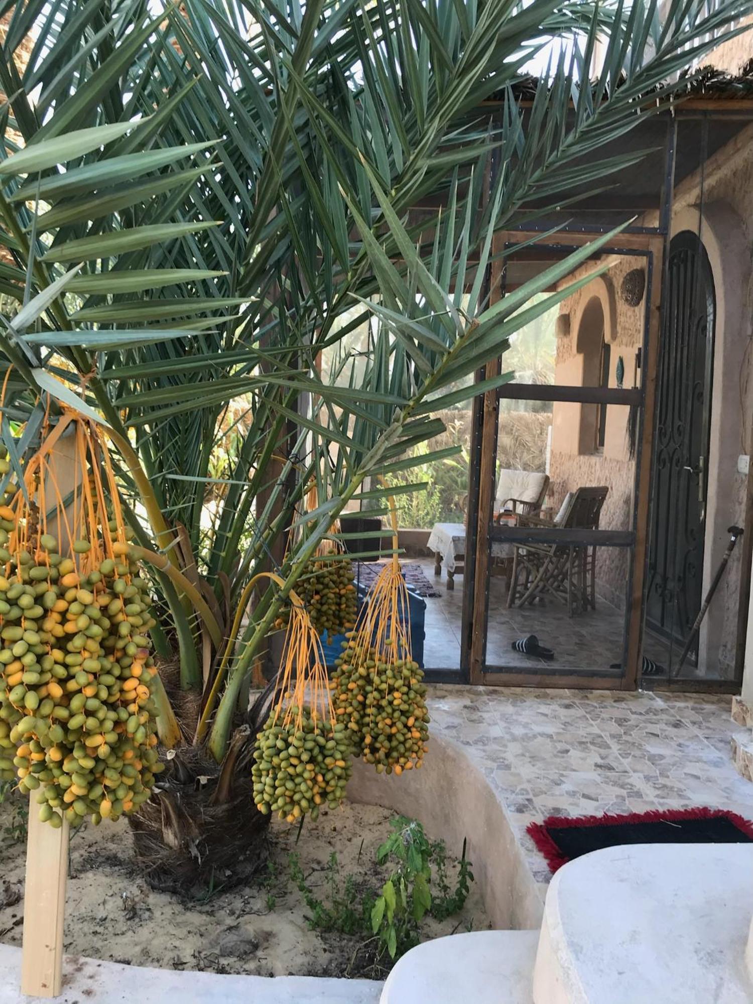 Siwa Spot Apartment Siwa Oasis Bagian luar foto