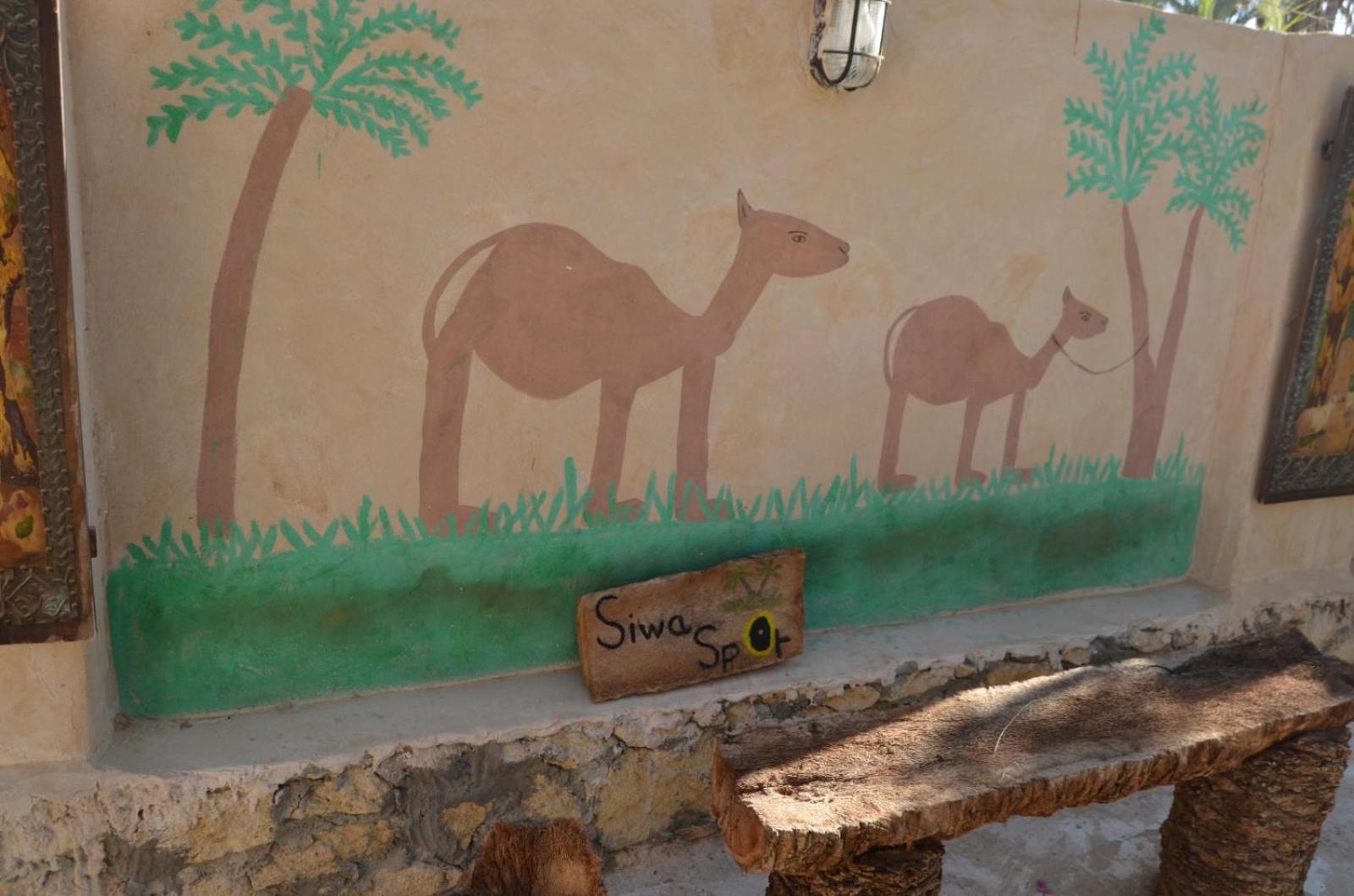 Siwa Spot Apartment Siwa Oasis Bagian luar foto