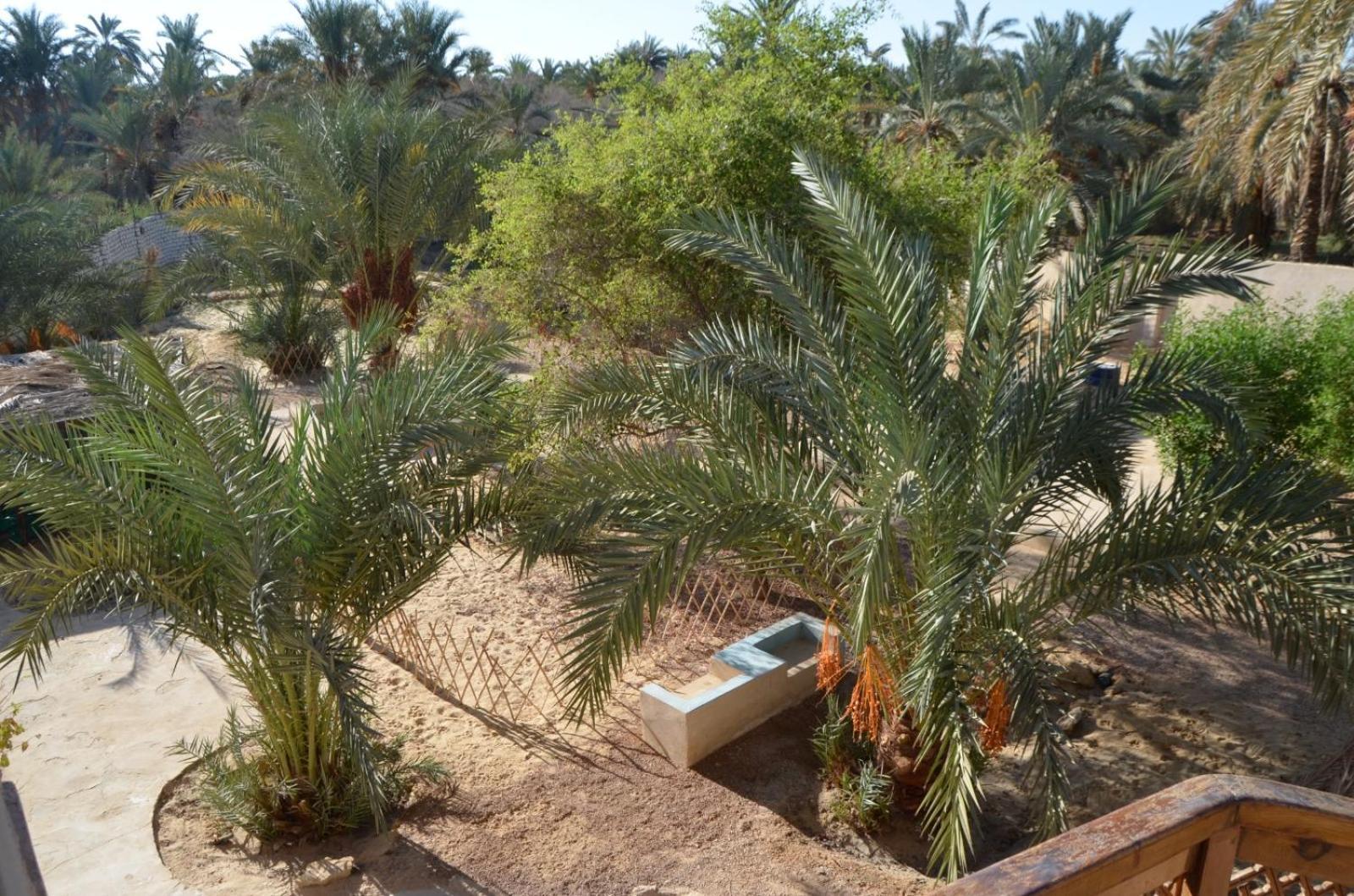 Siwa Spot Apartment Siwa Oasis Bagian luar foto