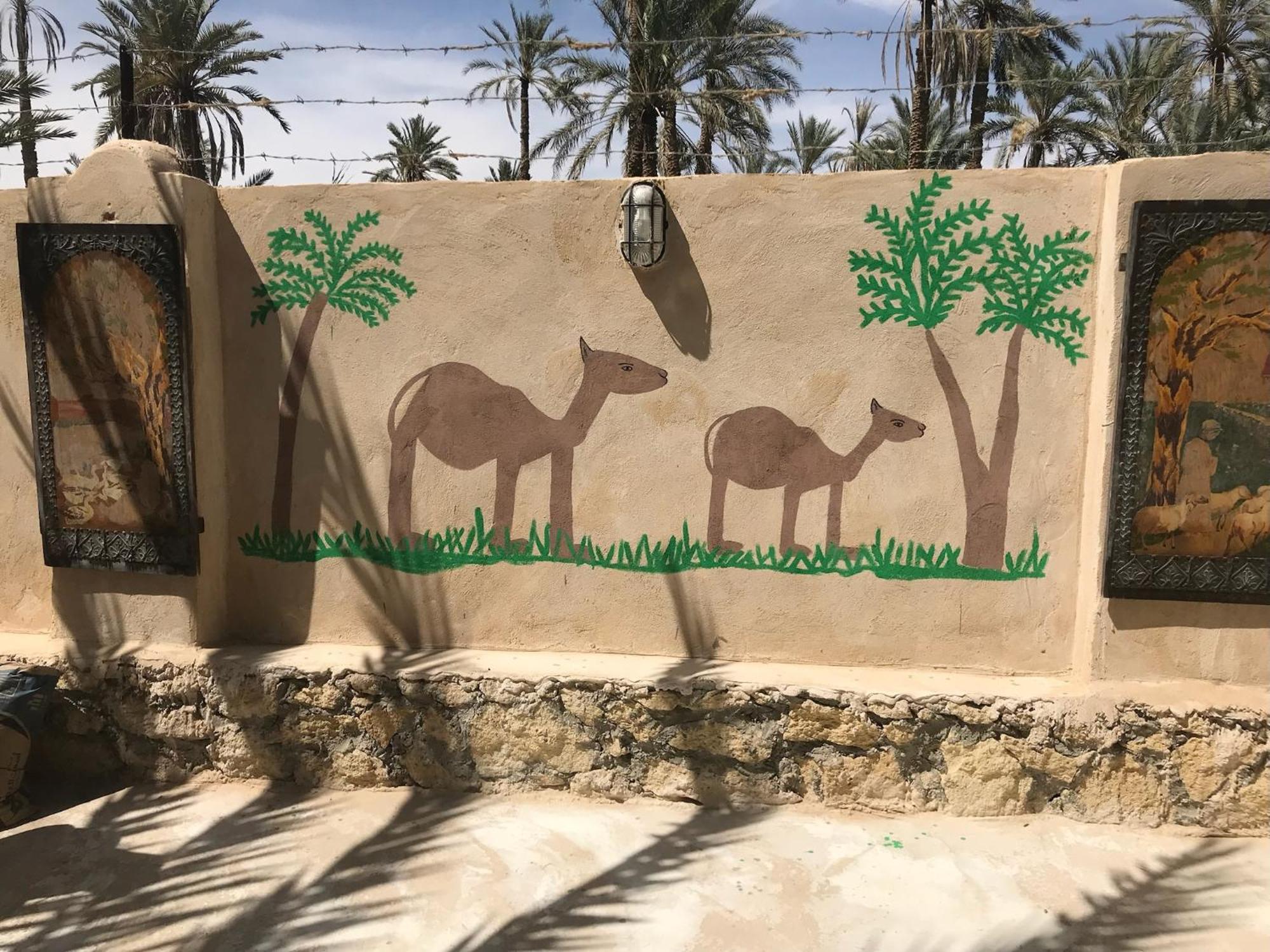 Siwa Spot Apartment Siwa Oasis Bagian luar foto